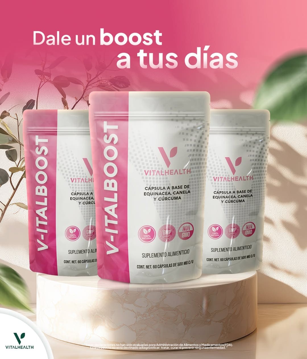 V-ITALBOOST | Energía y Vitalidad Natural